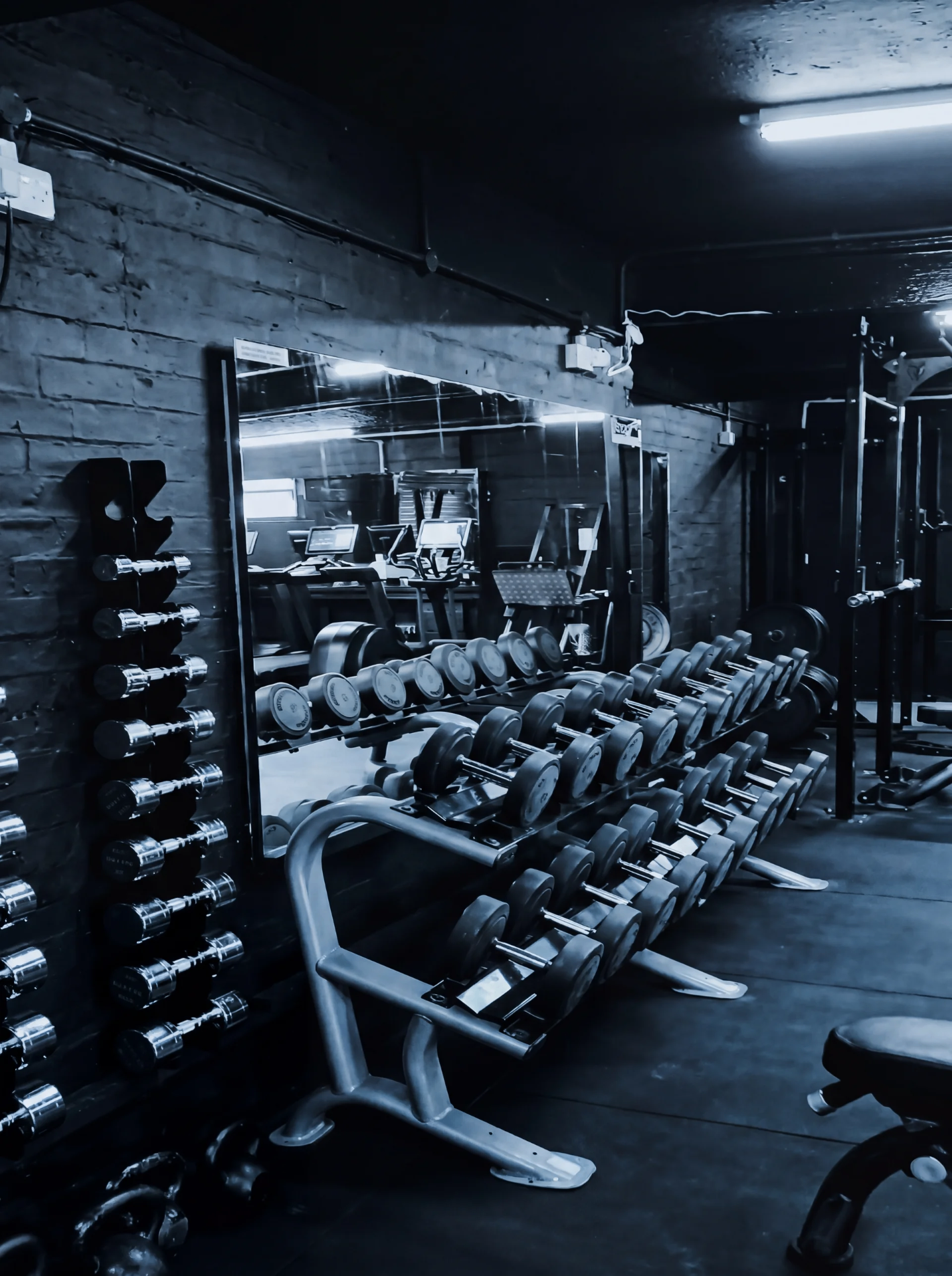 Dumbbell rack inside Peak Physique gym in Worthing